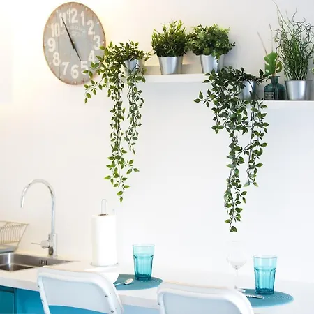 Alegria Cool House * Oporto